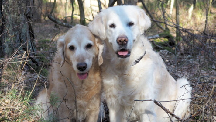 Die Schnuckels Smilla und Kelly