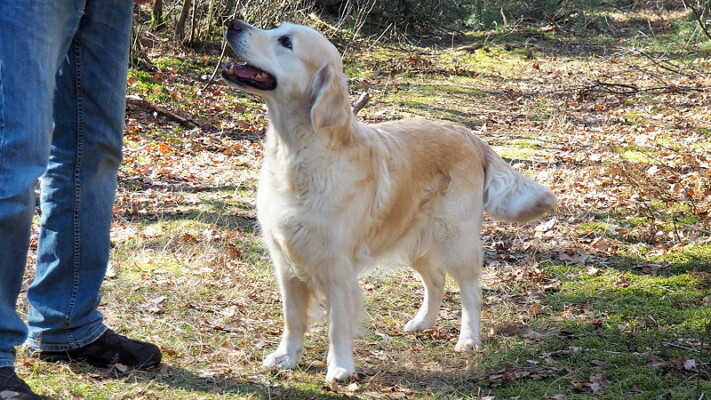 Nahla - stolz wie Oscar!