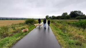 leider hat es während des Spaziergangs angefangen zu regnen