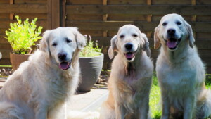 eine fehlt ... erstes Gruppenfoto ohne Jula :-(