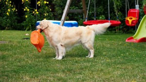 Mylo mit seiner Gießkanne, die er besonders liebt