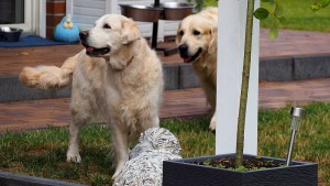 Kelly mit Mylo im Schlepptau