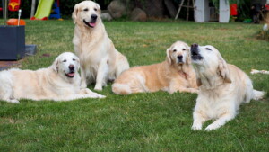 Gruppenbild zusammen mit Smilla