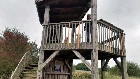 Smilla und Kelly auf einem Aussichtsturm