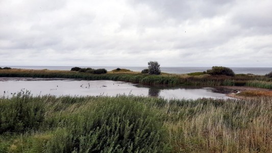 Blick auf ein Biotop