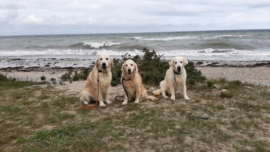 Der erste Urlaub zu dritt