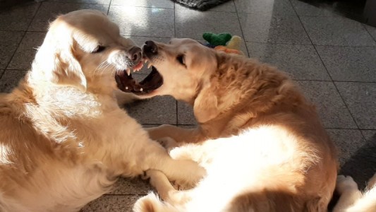 Nahla und Smilla spielen