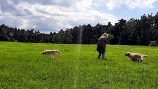 Ela mit Nahla und Keno