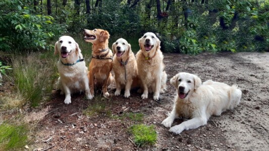 Treffen mit Sylke, Justus und Mia