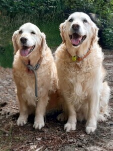 Bruder und Schwester: Justus und Smilla