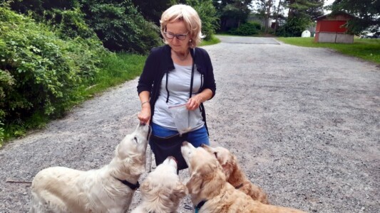 Treffen mit Petra und Mira