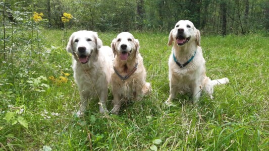 Kelly, Smilla und Nahla