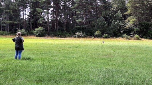 Treffen mit Ela und Keno