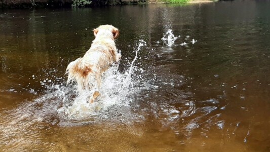 Nahla in ihrem Element