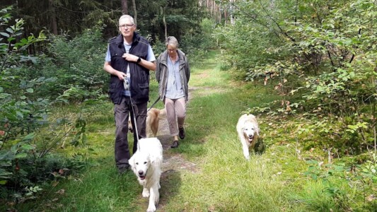 Treffen mit Petra und Numy
