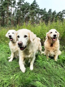 Typisch Nahla - immer auf dem Sprung